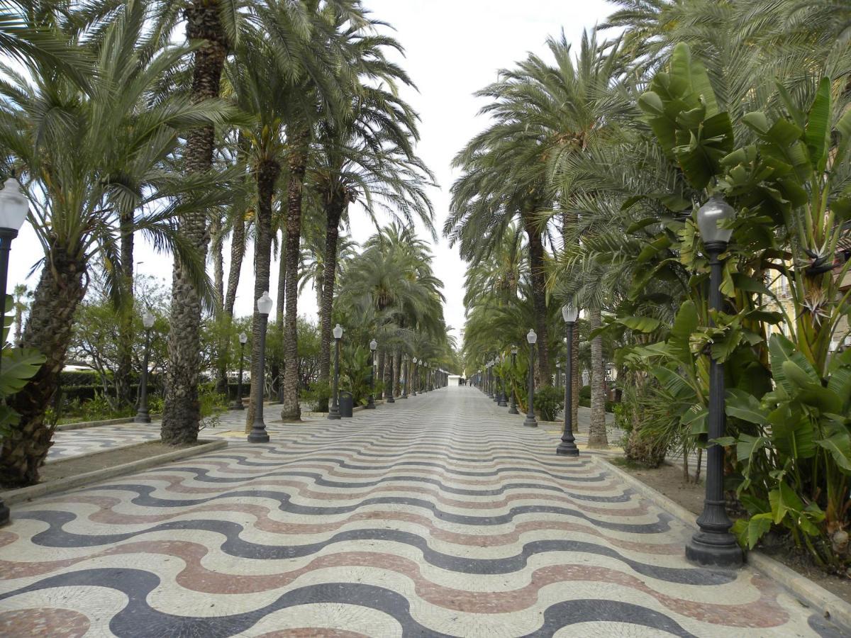Senorio Entrada Puntaprima Daire Torrevieja Dış mekan fotoğraf